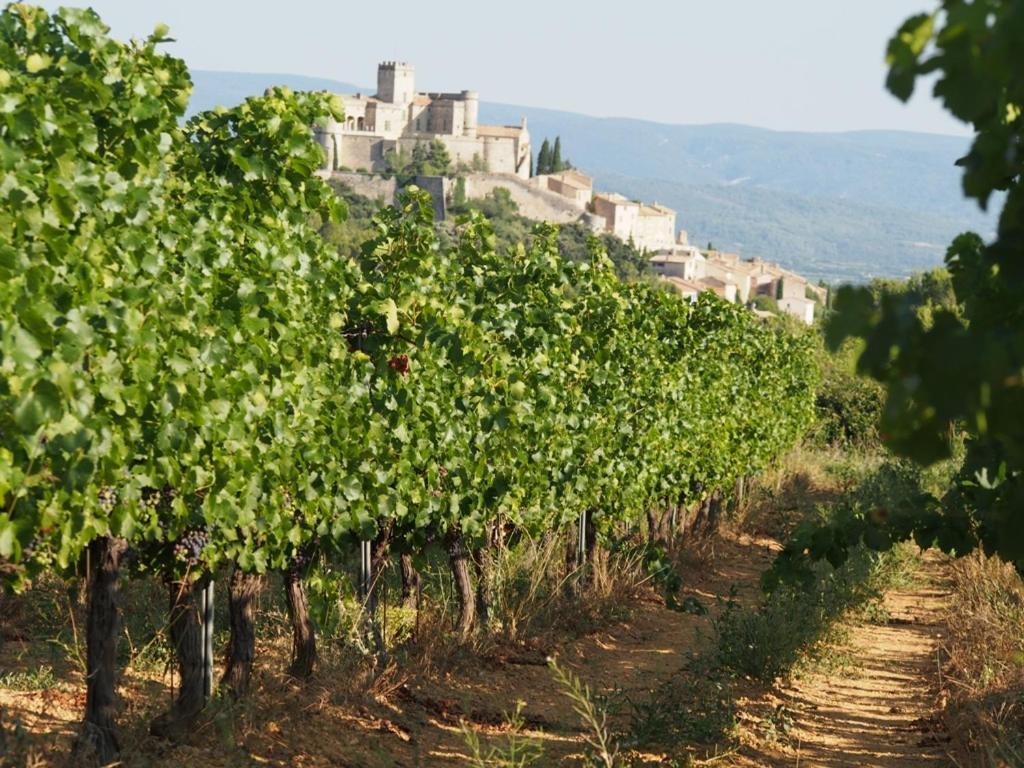 Le Mas De La Lause Le Barroux Εξωτερικό φωτογραφία